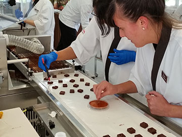 Chocolate Enrobing