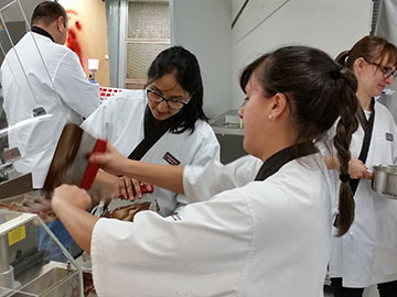 Making chocolate recipes